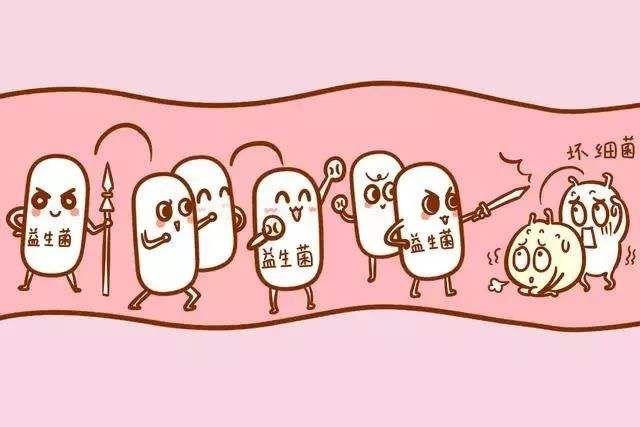 凡澳颜究院|面对肥胖便秘等问题，益生菌真的有用吗？