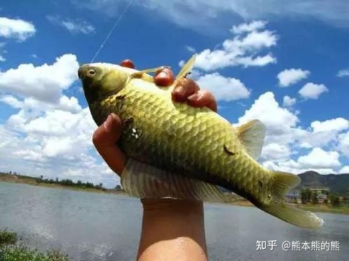 微信群发软件，微信群发器，微信营销神器有哪些，求推荐？_ 哪里有微信的机器人聊天,酷 v 微信版机器人